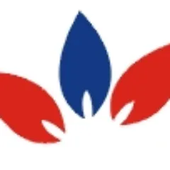 ibmms.com's icon