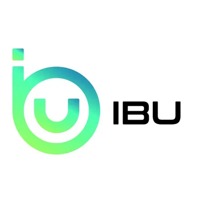 ibunext.com's icon