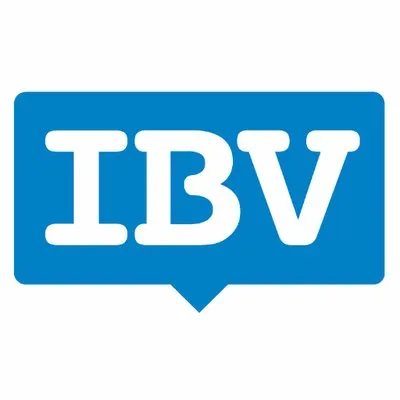 ibvsolutions.com's icon