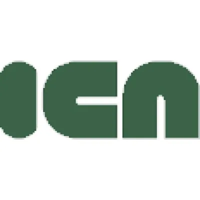 icaingenieria.cl's icon