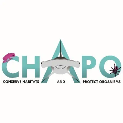 ichapo.com's icon