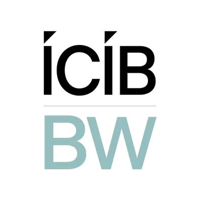 icib.co.nz's icon