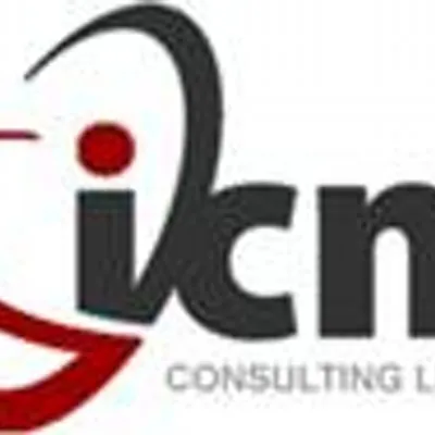 icmconsulting.co's icon