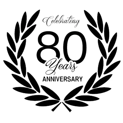 idearegalodesign.com's icon