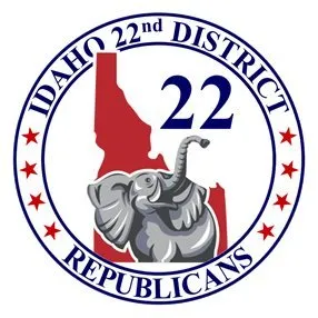 idgopdistrict22.com's icon