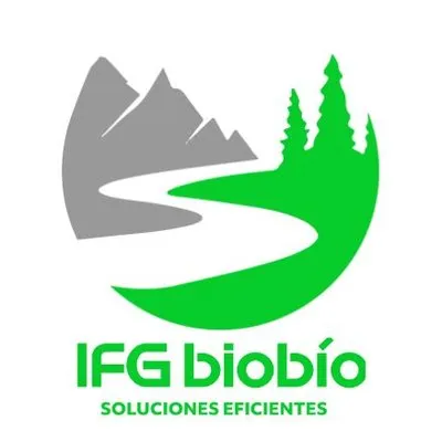 ifgbiobio.cl's icon