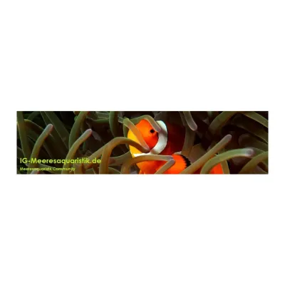 IG-Meeresaquaristik's icon