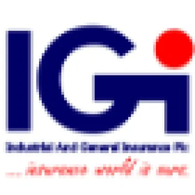 iginigeria.com's icon