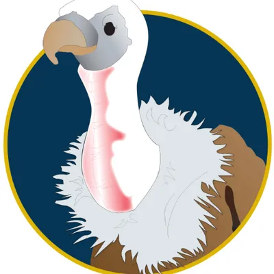 iidm.com's icon