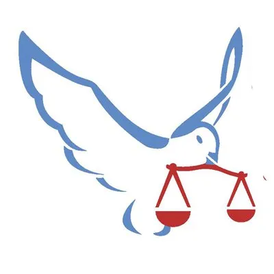 ijdh.org's icon