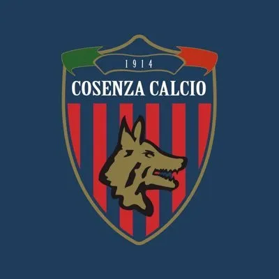 ilcosenza.it's icon