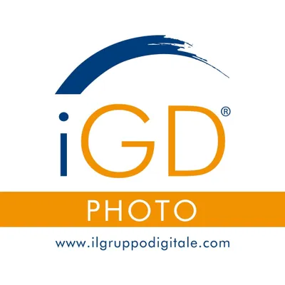 ilgruppodigitale.com's icon