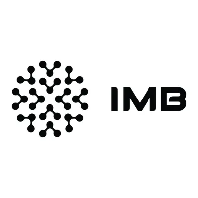 IMB's icon