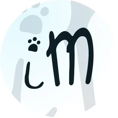 imusotti.com's icon