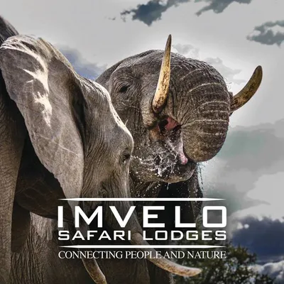 imvelosafarilodges.com's icon