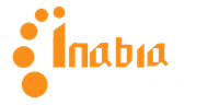 Inabia Solutions & Consulting logo