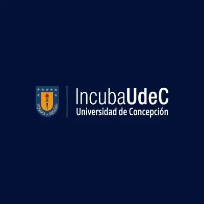 incubaudec.cl's icon
