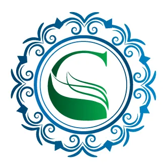 indianethnicgifts.com's icon