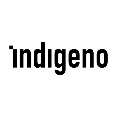 indigeno.ro's icon
