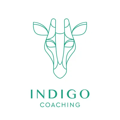 indigo-training.hu's icon