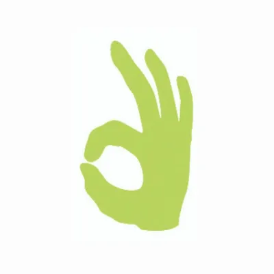 indojunkie.com's icon
