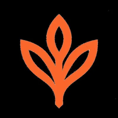 indosoil.com's icon