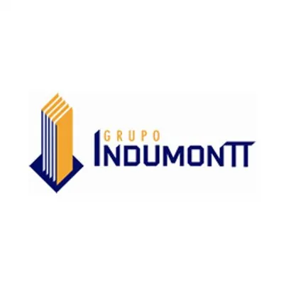 indumontt.cl's icon