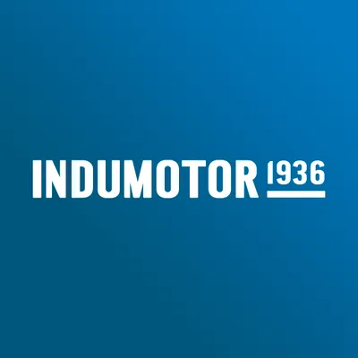 indumotor.cl's icon
