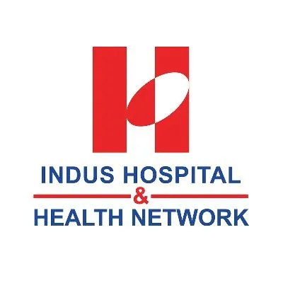 indushospital.org.pk's icon