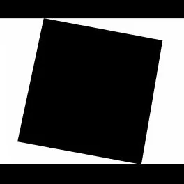 infoblancosobrenegro.com's icon