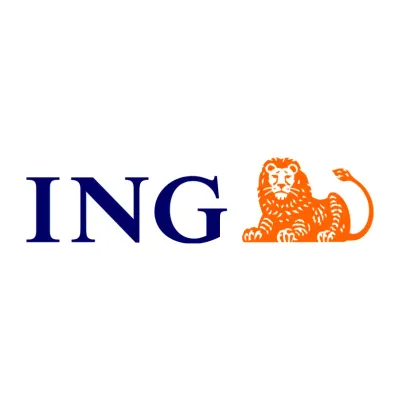ING Usługi dla Biznesu