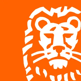 inghubsromania.com's icon