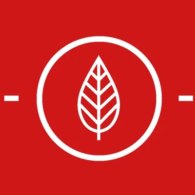injaweb.fr's icon