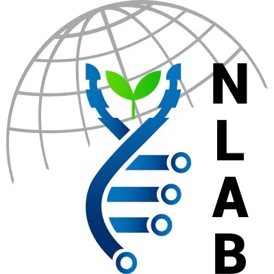 inlabsac.com's icon