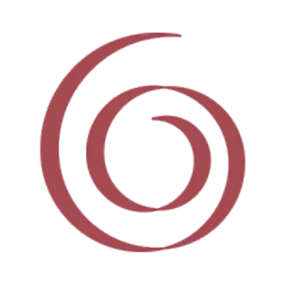 insa-software.com's icon