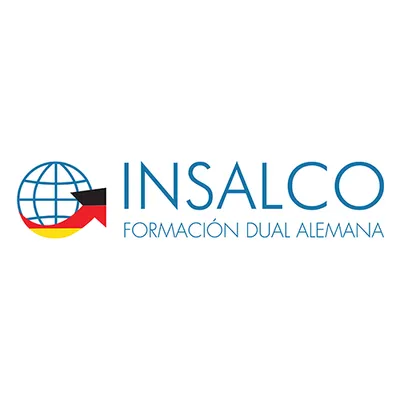 insalco.cl's icon