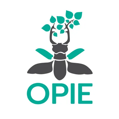 insectes.org's icon