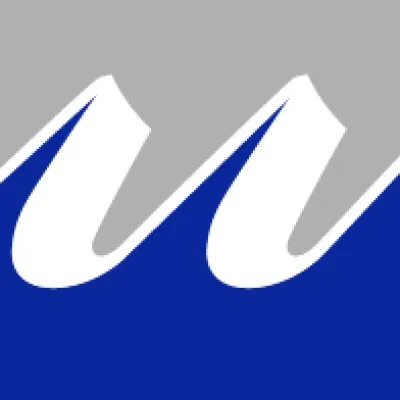 insightvisuals.com's icon