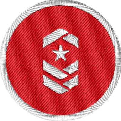insigniang.com's icon