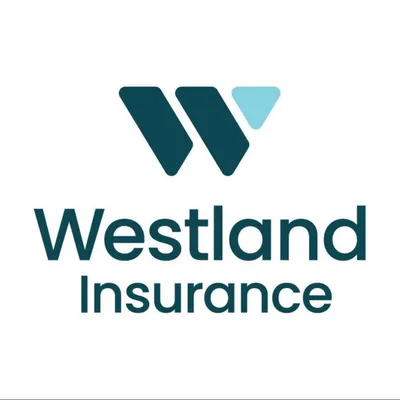 insuranceforwelders.com's icon