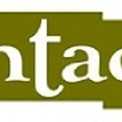 intacsindo.com's icon
