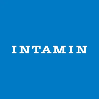 intaminworldwide.com's icon