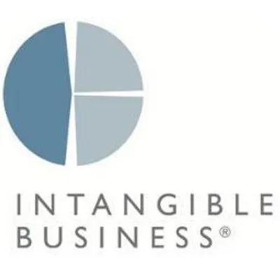 intangiblebusiness.com's icon
