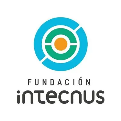intecnus.org.ar's icon