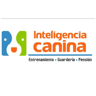 inteligenciacanina.com's icon