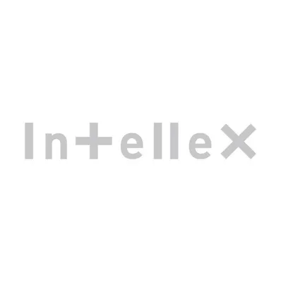 intellex.co.jp's icon