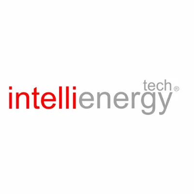 intellicity.it's icon