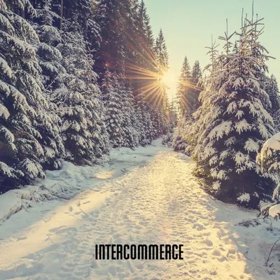intercommerce.hr's icon
