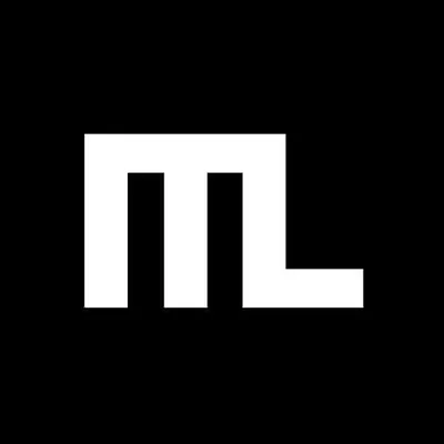 intheloopmag.com's icon