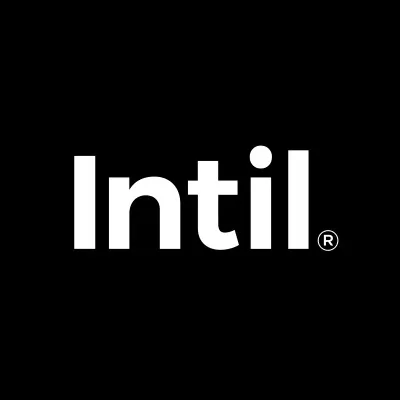 intilgroup.com's icon